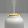 Diffuseur Ultrasonique Purisia