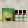 Kit Inhalation Hiver - 3 Huiles Essentielles BIO