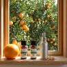 Kit Déo Ambiance Maison - 2 Huiles Essentielles et 1 Vaporisateur de 50ML