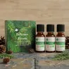 Kit Diffusion Boisée - 3 Huiles Essentielles BIO