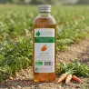 Macérât huileux BIO de Carotte