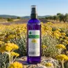 Hydrolat d'Hélichryse COSMOS