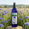 Hydrolat de Bleuet