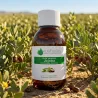 Huile Végétale de Jojoba