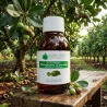 Huile Végétale de Calophylle (Tamanu)