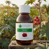 Huile Végétale de Graines de Ricin