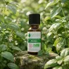 Huile Essentielle BIO de Basilic