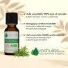 Huile Essentielle BIO d'Arbre à thé (Tea tree)