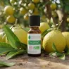 Huile Essentielle BIO de Bergamote