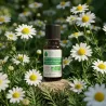 Huile Essentielle BIO de Camomille Romaine