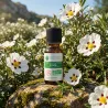 Huile Essentielle BIO de Ciste