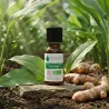 Huile Essentielle BIO de Curcuma
