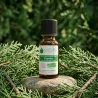 Huile Essentielle BIO de Cyprès