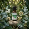 Huile Essentielle BIO d'Eucalyptus Globulus