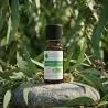 Huile Essentielle BIO d'Eucalyptus Radiata