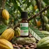 Extrait Naturel BIO de Cacao