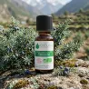Huile Essentielle BIO de Genévrier