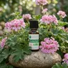 Huile Essentielle BIO de Géranium Rosat