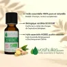 Huile Essentielle BIO de Gingembre