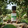 Huile Essentielle BIO de Girofle