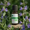 Huile Essentielle Bio d'Hysope couchée