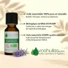 Huile Essentielle Bio d'Hysope couchée