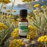 Huile Essentielle BIO d'Immortelle Corse