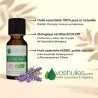 Huile Essentielle BIO de Lavande Aspic