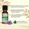 Huile Essentielle BIO de Lavande fine