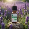 Huile Essentielle BIO de Lavande officinale
