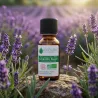 Huile Essentielle BIO de Lavandin Super