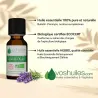 Huile Essentielle BIO de Lavandin Super