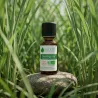 Huile Essentielle BIO de Lemongrass