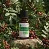 Huile Essentielle BIO de Lentisque Pistachier