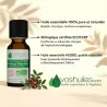 Huile Essentielle BIO de Lentisque Pistachier