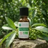 Huile Essentielle BIO de Litsée citronnée