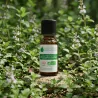 Huile Essentielle BIO de Menthe des champs
