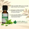 Huile Essentielle BIO de Menthe poivrée