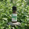 Huile Essentielle BIO de Menthe poivrée