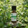 Huile Essentielle BIO de Menthe verte