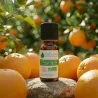 Huile Essentielle BIO d'Orange douce