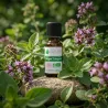 Huile Essentielle BIO d'Origan compact