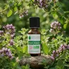 Huile Essentielle BIO d'Origan