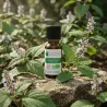 Huile Essentielle BIO de Patchouli