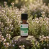 Huile Essentielle BIO de Thym à Bornéol