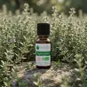 Huile Essentielle BIO de Thym à linalol