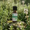 Huile Essentielle BIO de Thym à Thymol