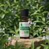 Huile Essentielle BIO de Verveine odorante