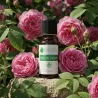 Huile Absolue de Rose de Damas