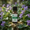 Huile Absolue de Violette (Viola odorata)